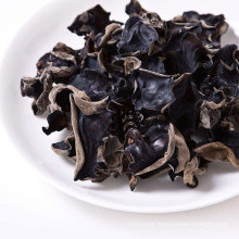 Dried Agaric from China